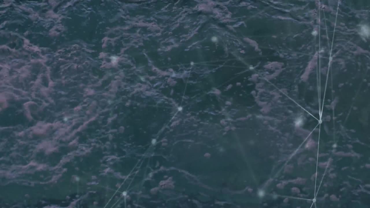 animación de la red de conexiones a través de la natación de nadadoras en forma