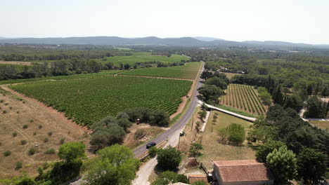 Car-passing-through-a-road-along-vineyards-wine-making-factory-aerial-shot