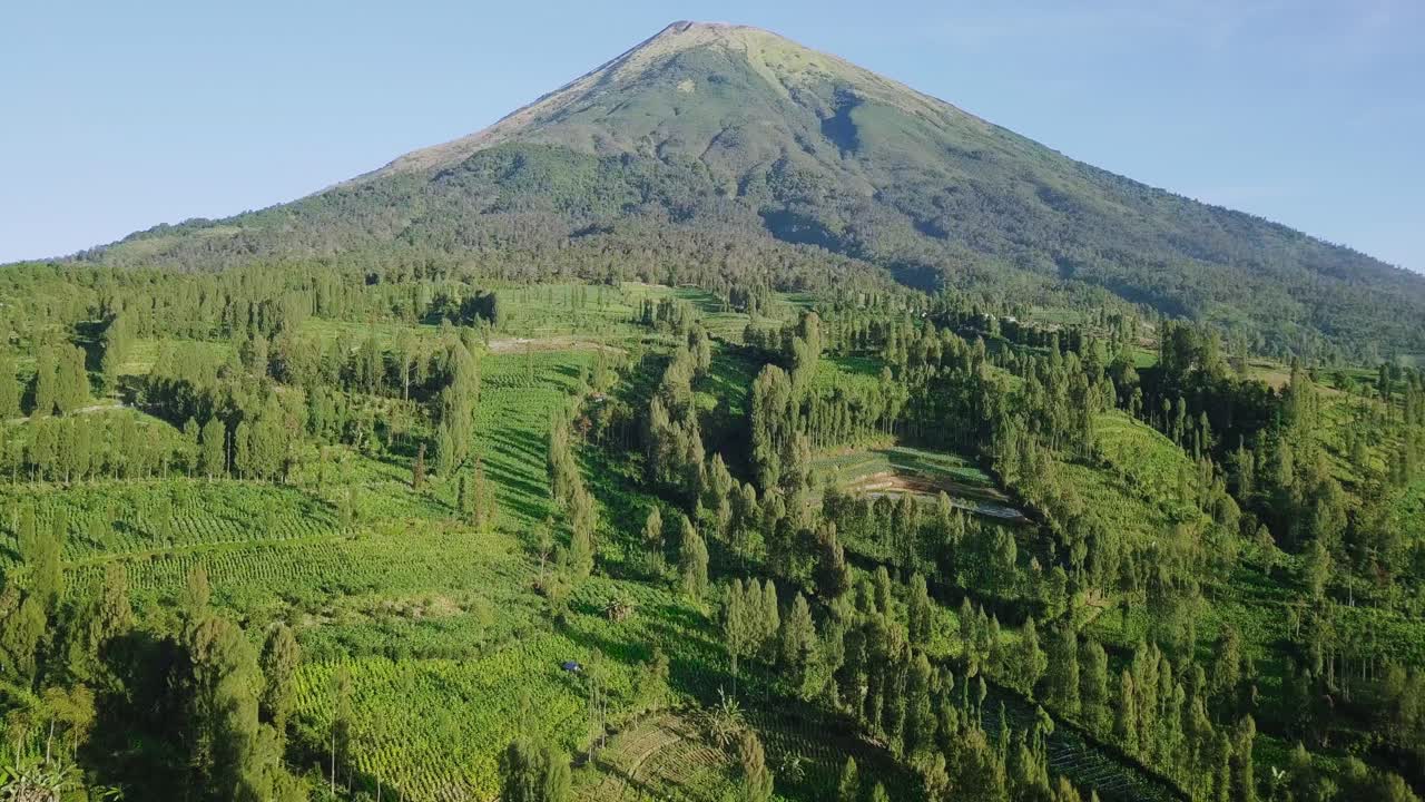 vuelo aéreo lento sobre la plantación de tabaco en la montaña durante el cielo azul y la luz del sol en asia