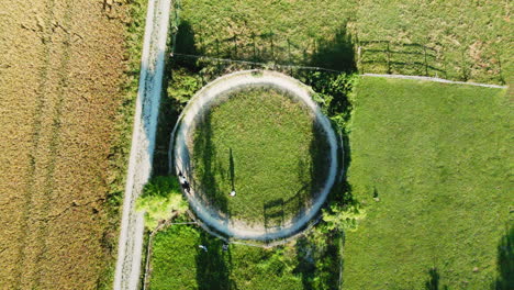 experience the beauty from above as a drone captures an elderly woman gracefully walking her horse in tranquil circles