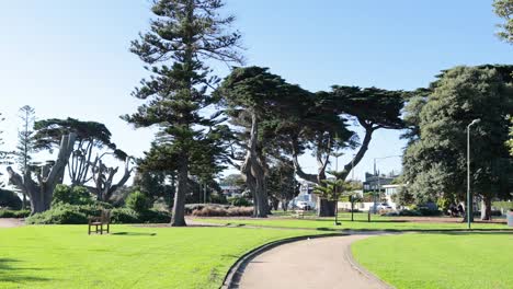 a walk along a scenic park path