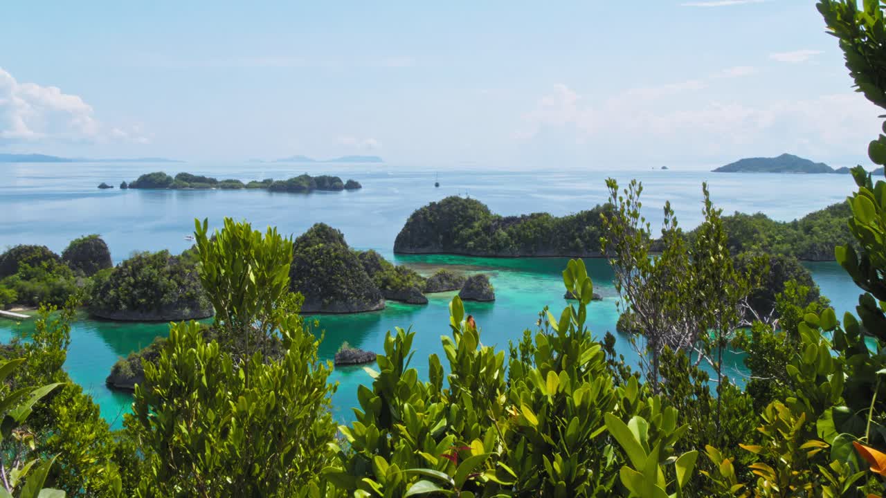 인도네시아 라자 파트 (raja ampat) 에 있는 피아네모 제도 (pianemo archipelago) 의 경이로운 풍경을 포착한 트업  (tilt-up shot) 은 전면에 푸른 잎자루가 서서히 푸른 물과 바위 섬들을 드러내고 있다.