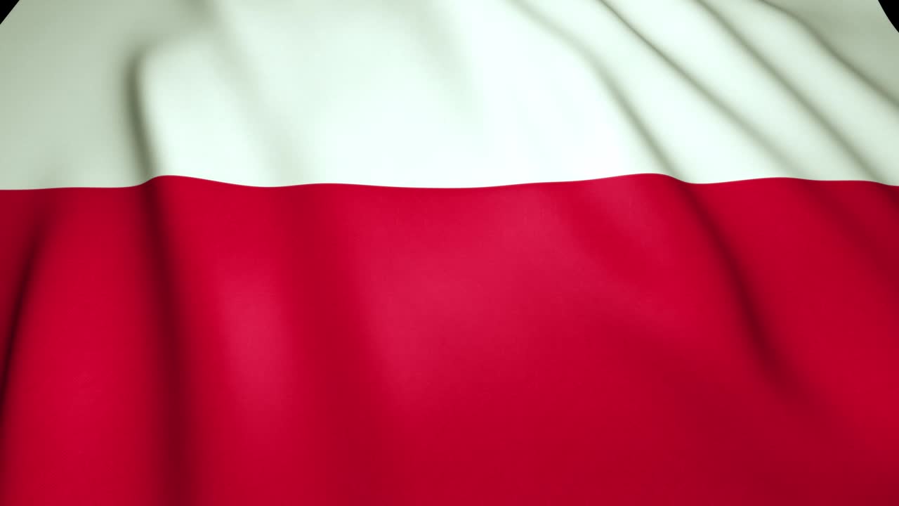 폴란드의 현실적인 발을 흔들고 있는 루프 애니메이션