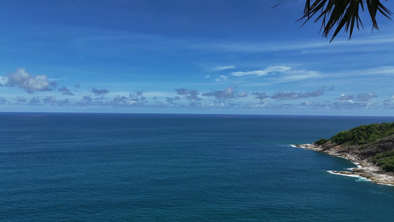 Tropical Ocean View with Palm Trees