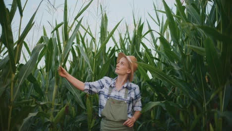 woman farmer in cornfield