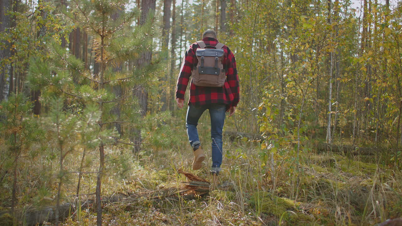 actividades al aire libre concepto de viaje hombre en la naturaleza. vista posterior de una persona que camina en un camino de campo en un parque nacional. un turista de 30 años camina en un viaje de aventura en un paisaje natural en una caminata en un entorno. imágenes de alta calidad 4k