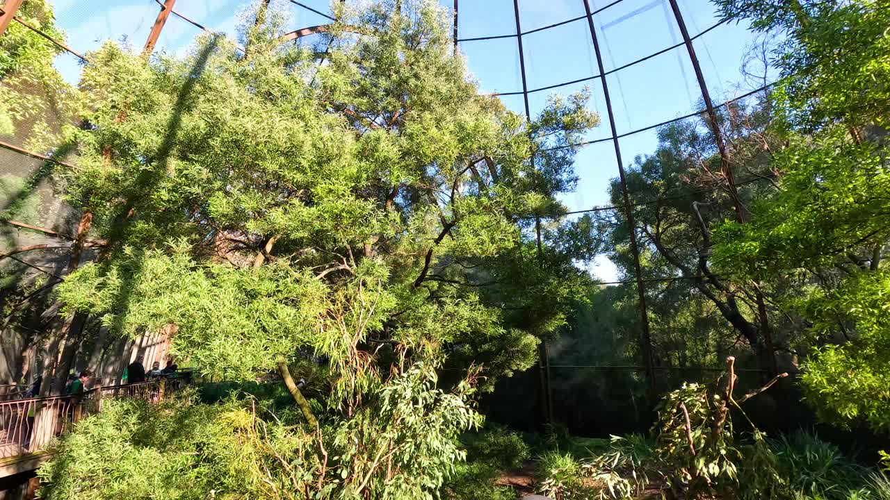 큰 새 보호 구역 안 의 울창 한 초록색