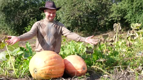 a young farmer rejoices at a large harvest of pumpkins a young farmer rejoices at a large harvest of pumpkins happy rural worker