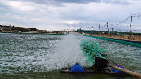 Working-shrimp-farm-with-aerator-turbine-wheels-at-Son-Hai,-Vietnam