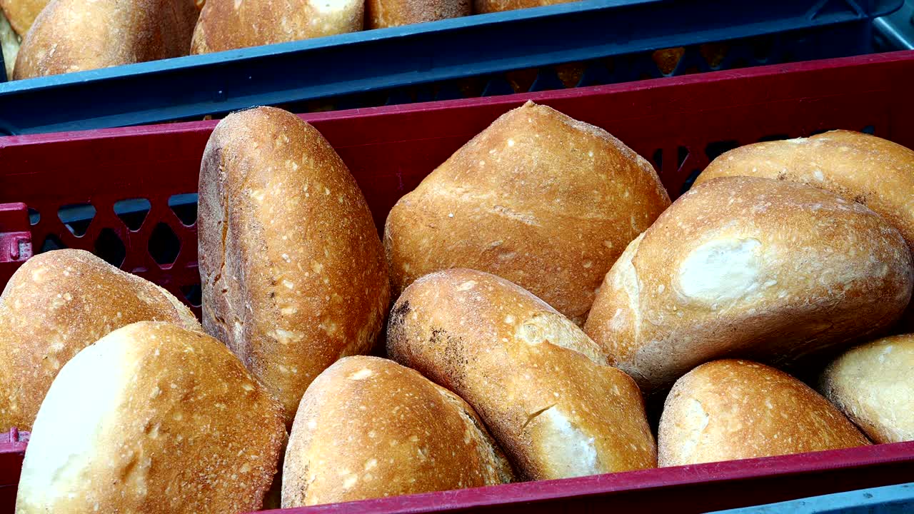 신선하고 둥근 터키 흑해  바구니