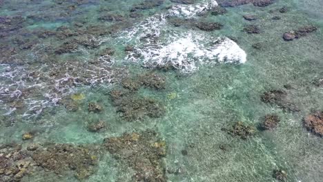 aerial view over corareefs under the turquoise water in reunion island