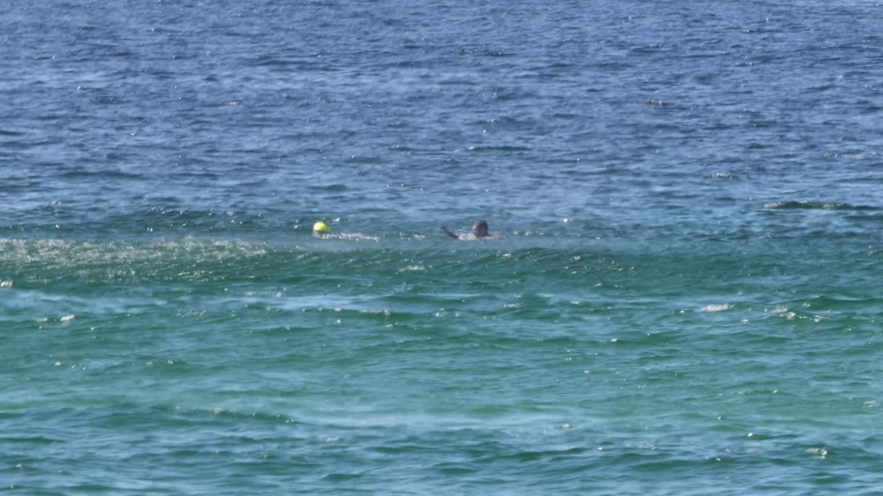스피드보트 와 수영 선수 들 이 바다 에서 경주 하고 있다