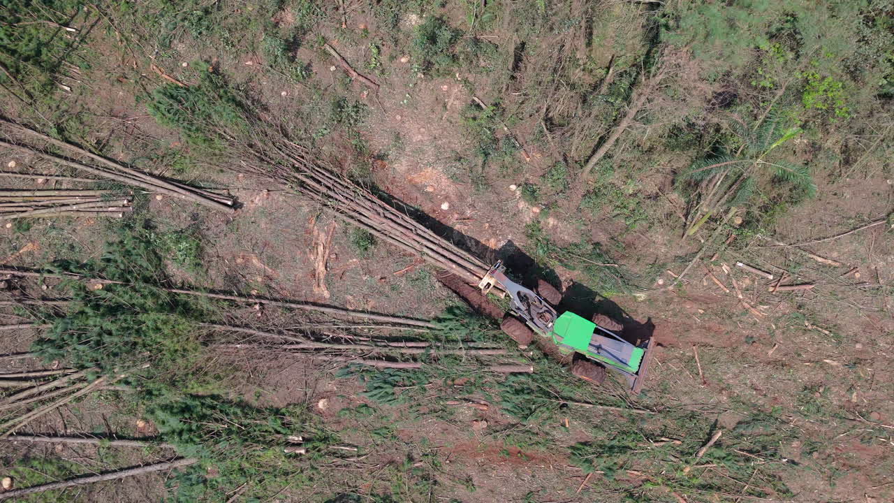 Vertically tilted down aerial view of logging vehicle operating in forest clearing with fallen trees.