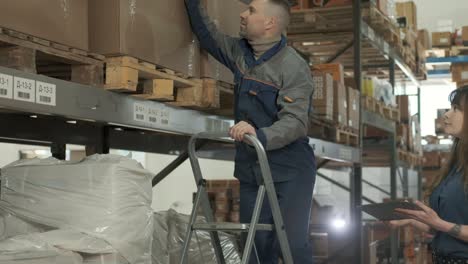 retail warehouse employees among shelves with cardboard boxes