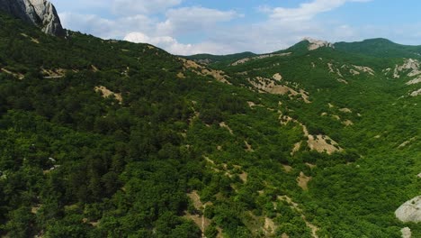 mountainous forest landscape