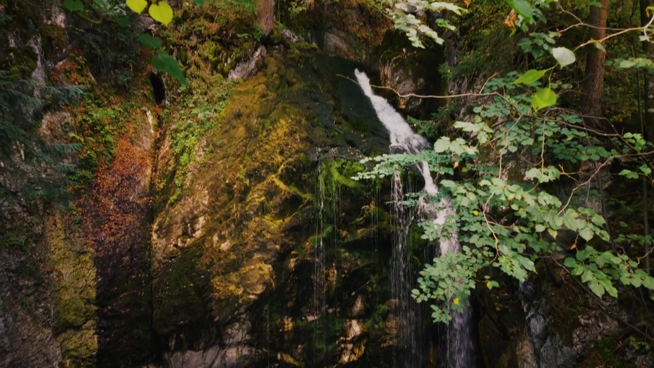 Corriente de agua cayendo por una pared de roca cubierta de musgo en la fuente de la cascada de Golling en Austria, movimiento de cámara hacia arriba