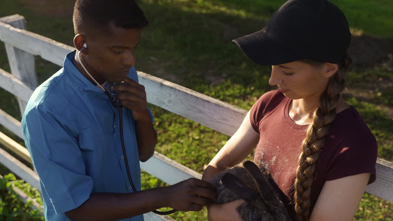 전문적인 남자가 귀여운 토끼를 경청하고 있습니다.