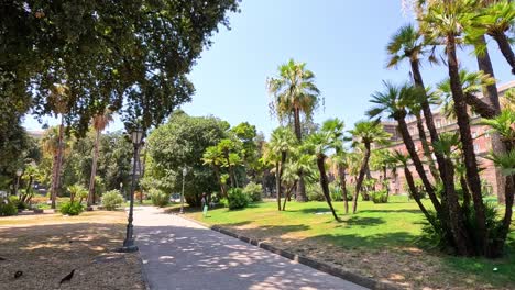 palm trees and historic building in park