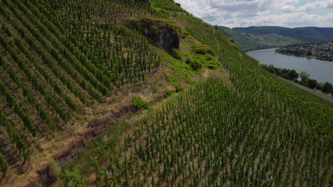 vuelo sobre un viñedo junto al lago moselle mientras la cámara se inclina hacia arriba