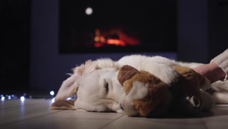 A-woman's-hand-with-a-plush-puppy-plays-with-a-cute-dog-that-lies-near-the-fireplace.-Christmas-Eve