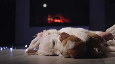 la mano de una mujer con un cachorro de peluche juega con un lindo perro que se encuentra cerca de la chimenea. víspera de navidad