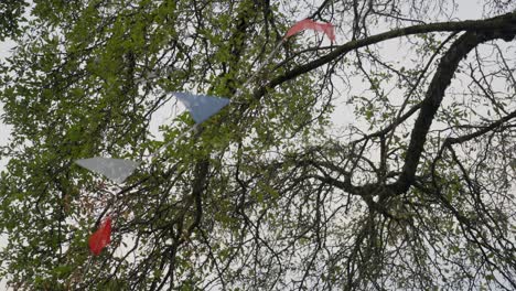 Medium-close-up-of-celebratory-bunting-caught-in-a-tree,-still-blowing-in-the-wind