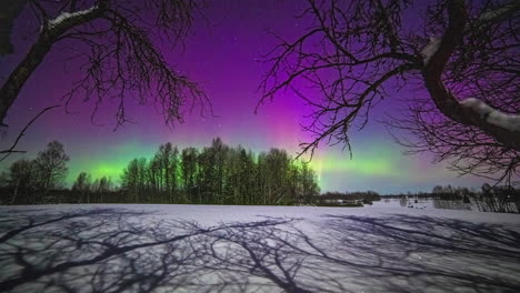 northern lights over snowy landscape