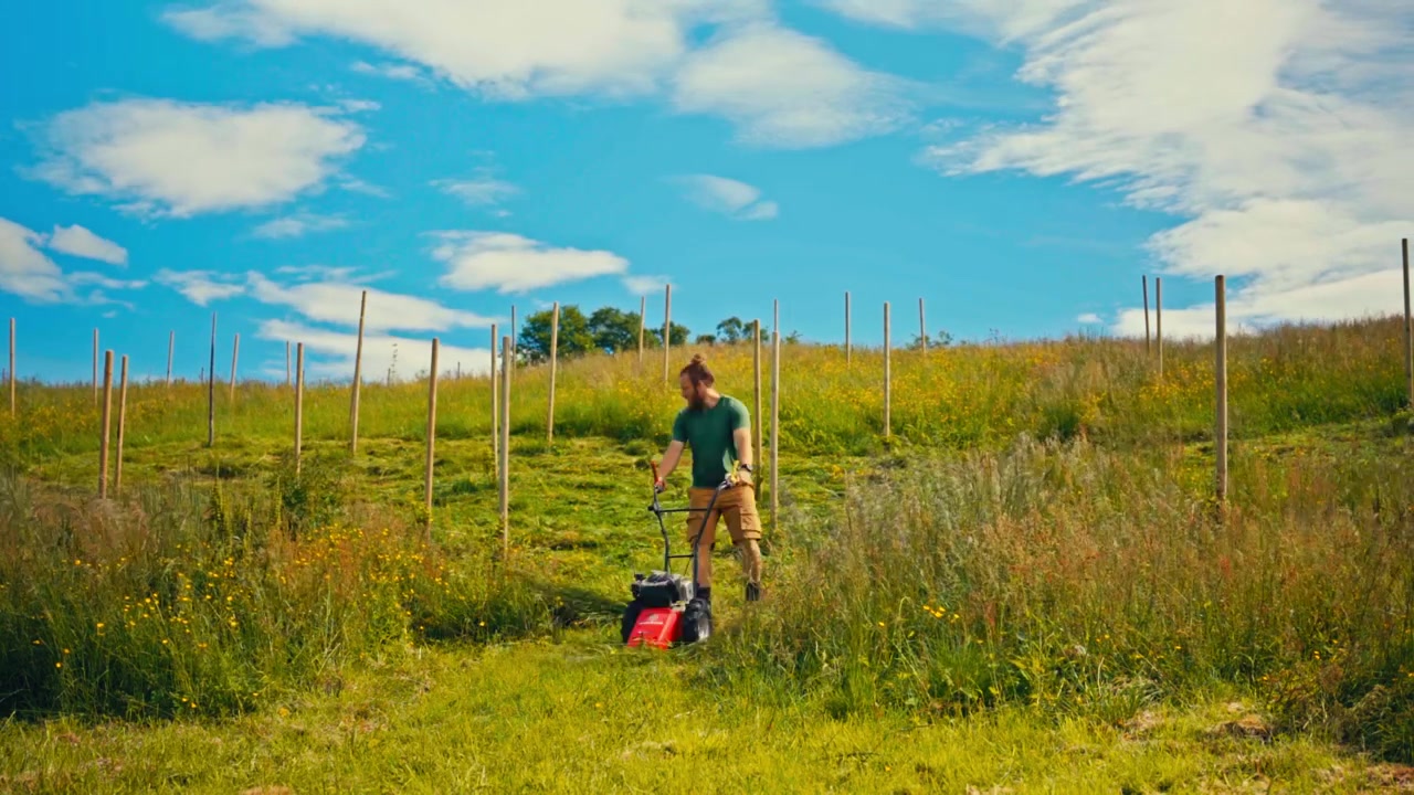 Farmer Mowing Tall Grass With A Push Mower In A Green Rural Farmland Field Under A Blue Sky With Clouds. timelapse