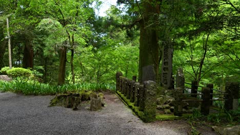 walking through lush forest with typical japanese stone pillars