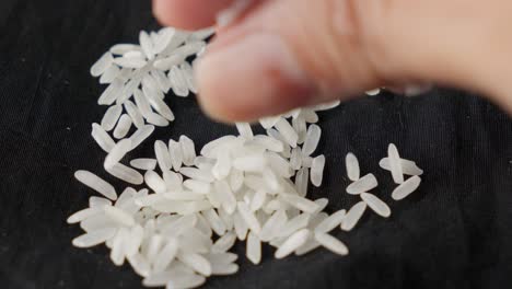 close-up view of polished long grain rice held in fingers