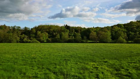 Drone-flying-at-low-altitude-over-green-meadows-in-French-countryside,-Nouvelle-Aquitaine-in-France