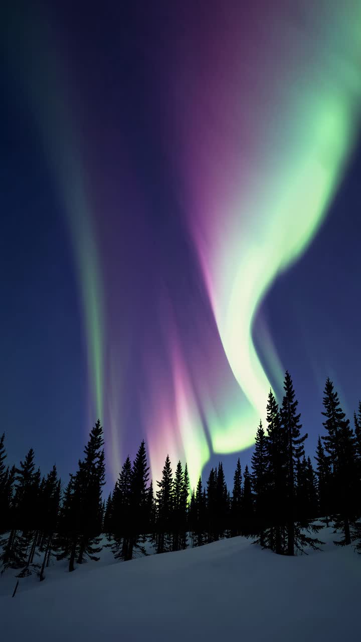 Stunning Aurora Borealis Display Over a Snowy Forest