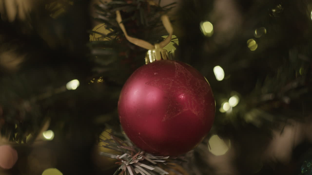 Christmas ornament on a tree