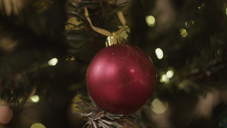 Christmas ornament on a tree