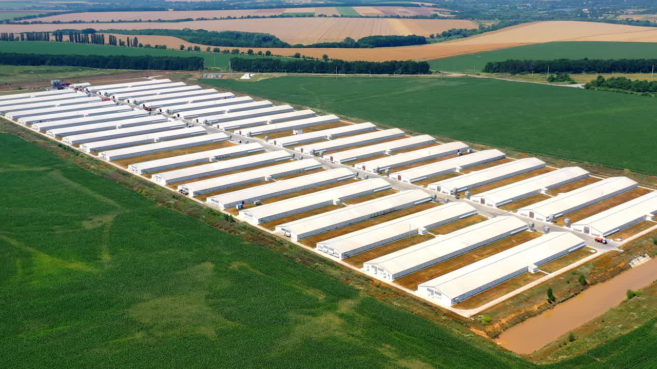 Huge farm in rural landscape. Aerial view of big agricultural farm