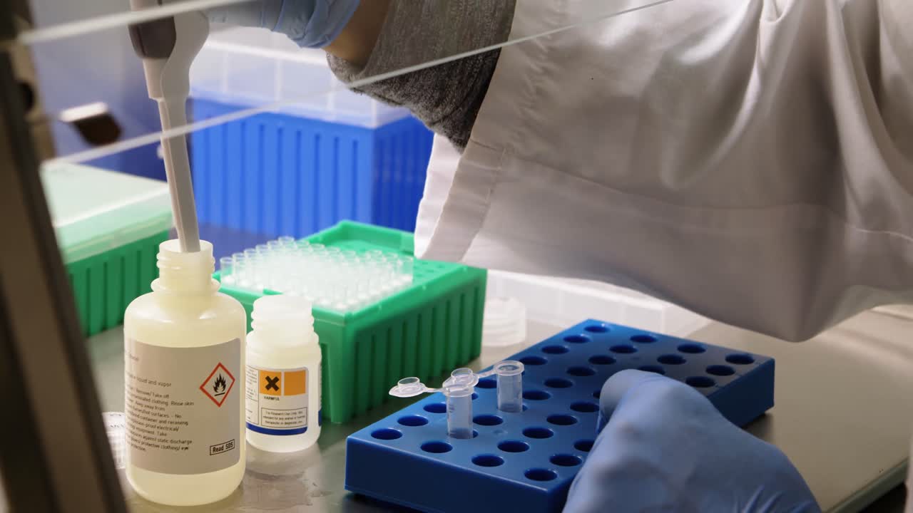 실험실에서 실험하는 과학자 4k