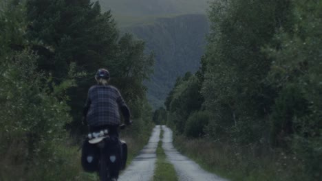 cyclist on a fully packed bike touring bike cycling away from camera, far into the distance on a desolate forrest road in norway, scandinavia