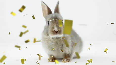 animation of confetti over rabbit on white background at easter