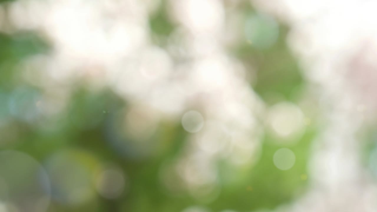 fondo de verano abstracto con bokeh