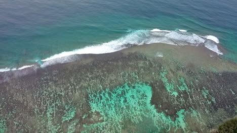 aéreo - océano turquesa en la costa de tonga