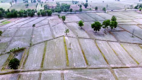 Vuelo-Sobre-áreas-Cultivadas-Durante-La-Estación-Seca-En-Tailandia