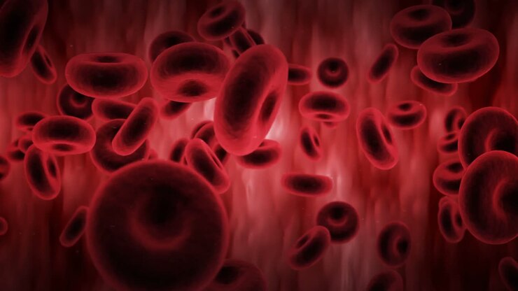 Digital generated red blood cells flowing through the arteries