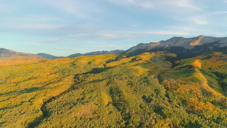 Aspens-turning-on-Kebler-Pass,-Colorado