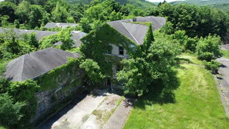 Abandoned Ivy-Covered Building in an Overgrown Forest