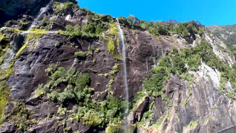 observa hermosas cascadas mientras navegas por milford sound en nueva zelanda