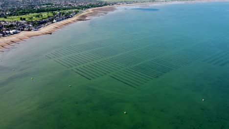 Un-Sobrevuelo-Aéreo-De-Los-Criaderos-De-Ostras-En-Whitstable