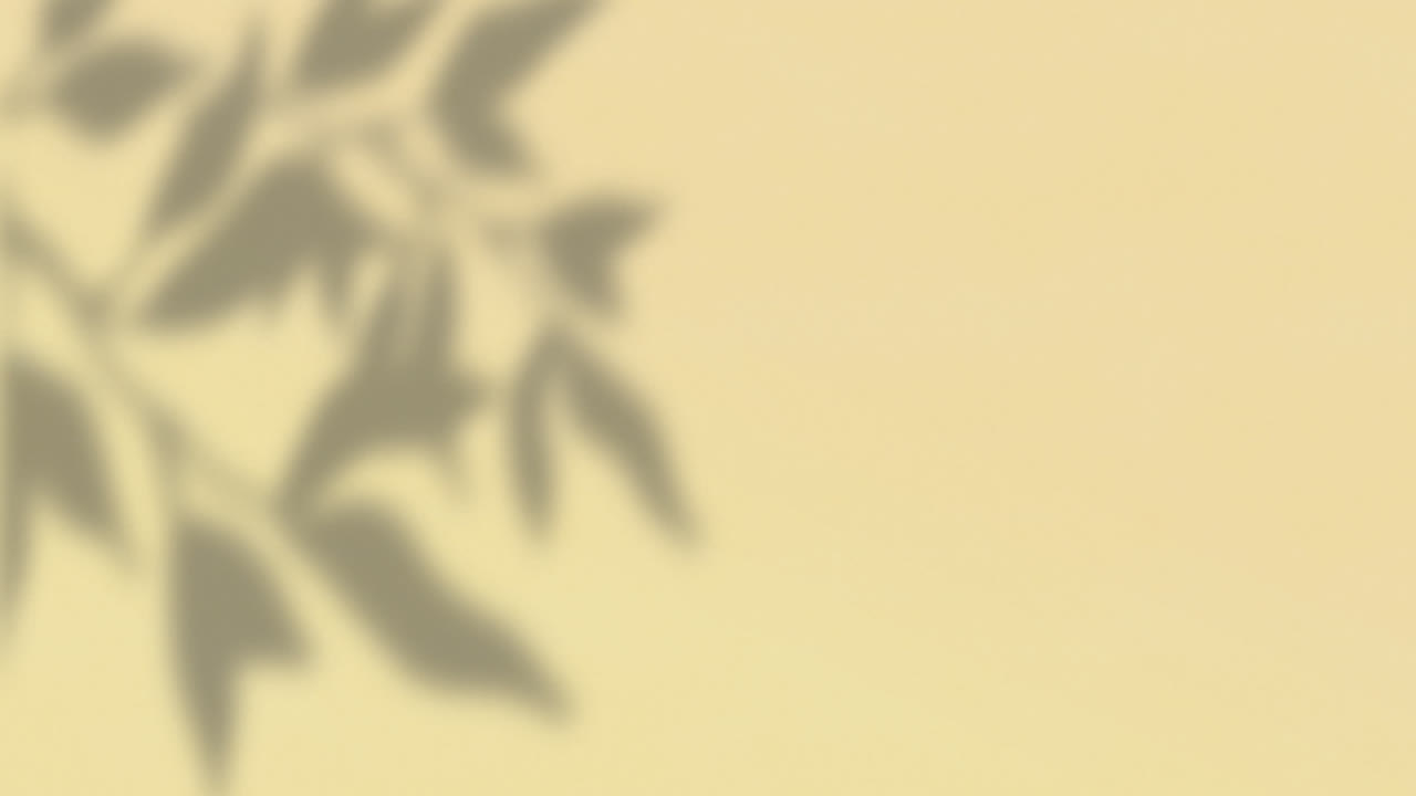 Animation of plant leaf shadows moving on cream wall background