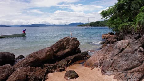 low aerial approaches white egret bird on beach rock in sunny brazil