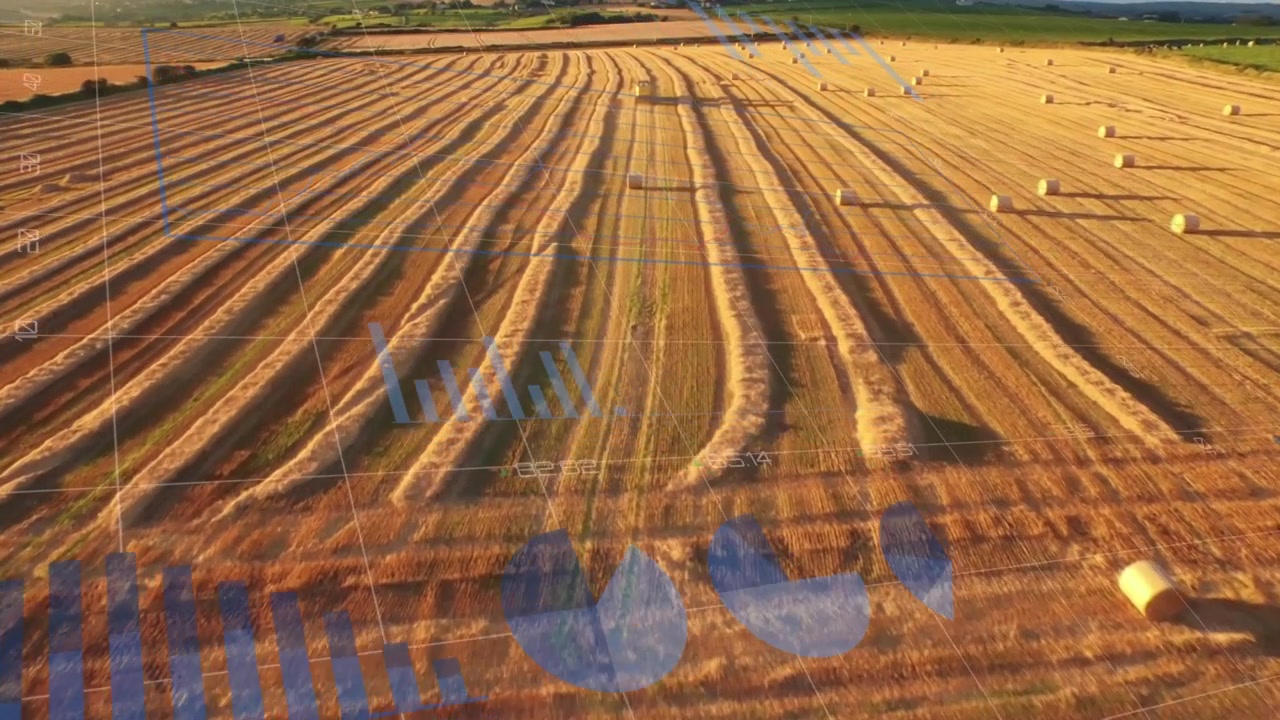 Animazione digitale di molteplici foglie autunnali che fluttuano con un magazzino sullo sfondo.