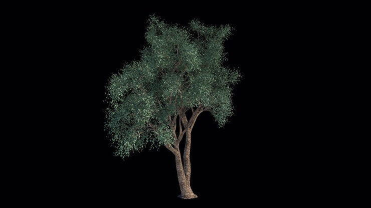 Albero Isolato con Foglie Verdi che Ondeggiano su Sfondo Nero